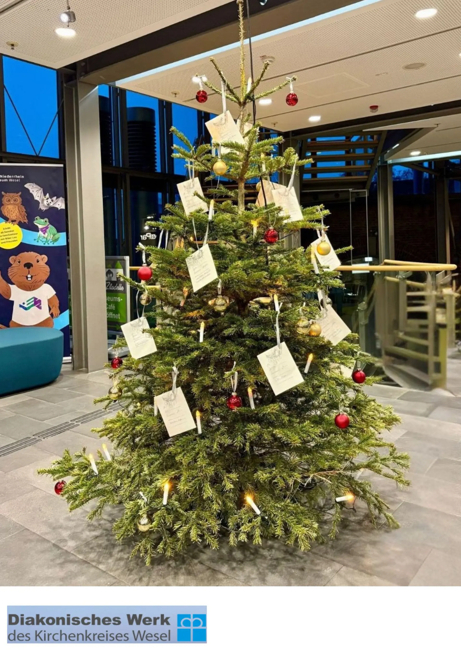 Das Bild zeigt einen geschmückten Weihnachtsbaum 