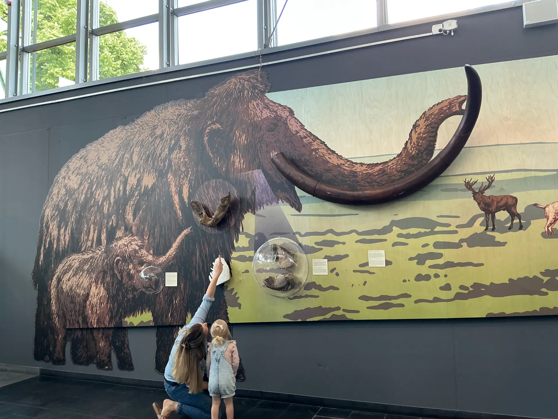 Das Bild zeigt ein Mammut.