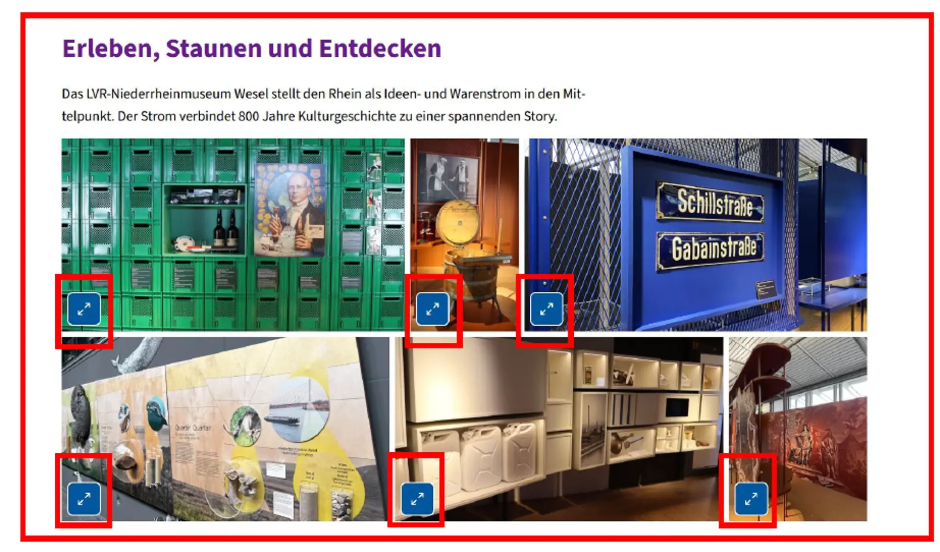 Das Bild zeigt eine Bildergalerie.