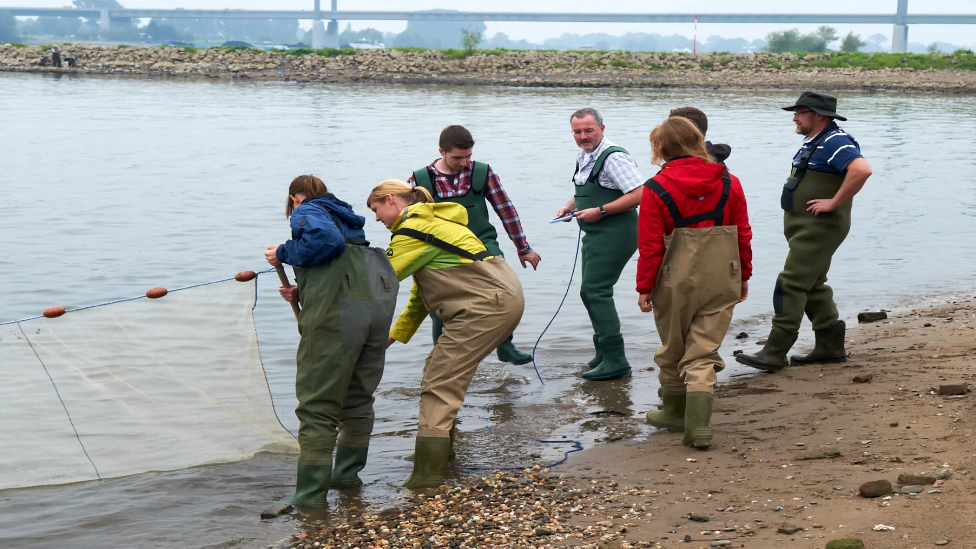 Das Bild zeigt mehrere Menschen in langen Gummihosen stehend an einem Fluss, die ein Netz aus dem Wasser ziehen